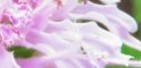 べるがもっと